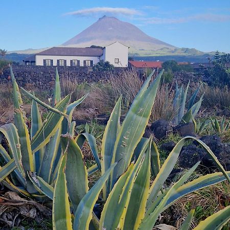 Solar Dos Limas Villa Criacao Velha Luaran gambar