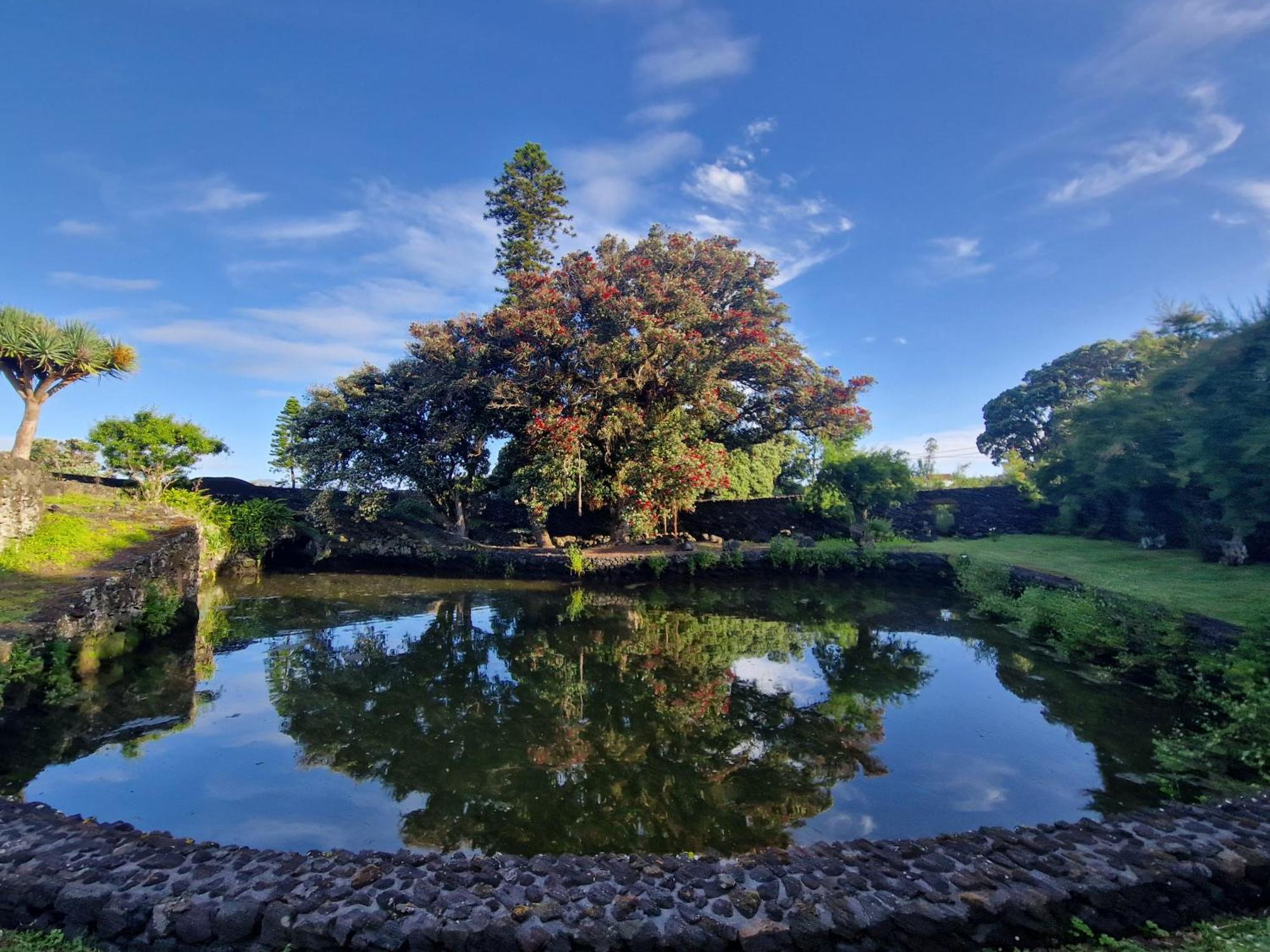 Solar Dos Limas Villa Criacao Velha Luaran gambar