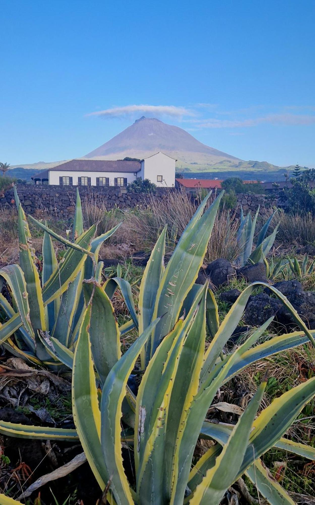 Solar Dos Limas Villa Criacao Velha Luaran gambar